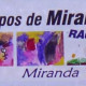 Rally de los Campos de Miranda 2012