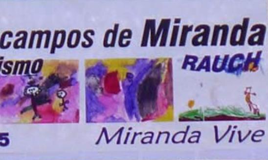 Rally de los Campos de Miranda 2012